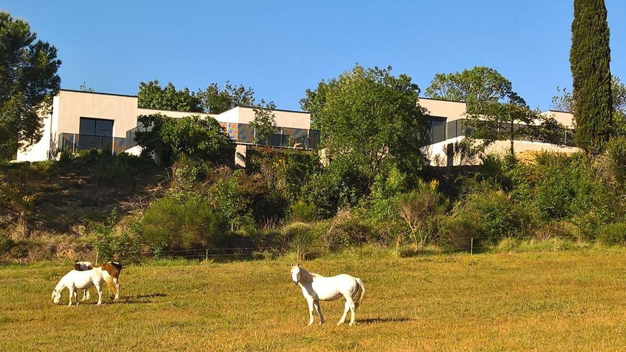 Villa Piscine Sud France Verzeille Eksteriør billede
